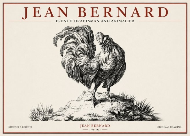 Jean Bernard Study of a Rooster No1 - Affiche