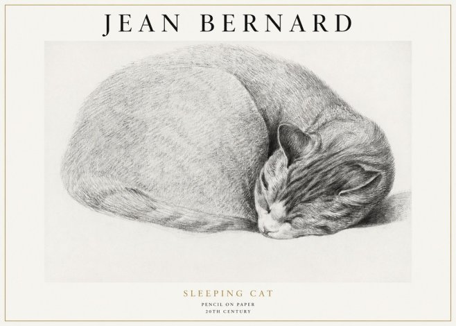 Jean Bernard Sleeping Cat IX No1 - Affiche
