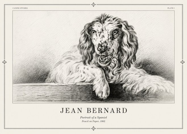 Jean Bernard Portrait of a Spaniel No2 - Affiche