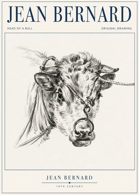 Jean Bernard Head of a Bull No1 - Affiche