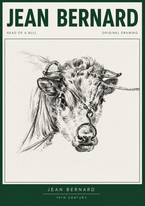 Jean Bernard Head of a Bull No3 - Affiche