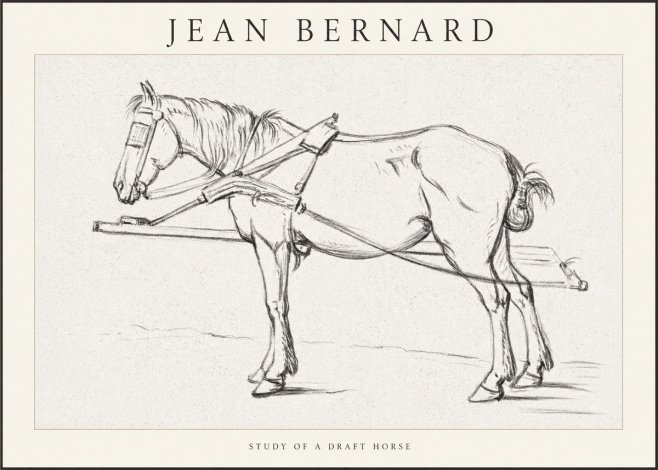 Jean Bernard Study of a Draft Horse II No1 - Affiche