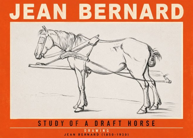 Jean Bernard Study of a Draft Horse II No2 - Affiche