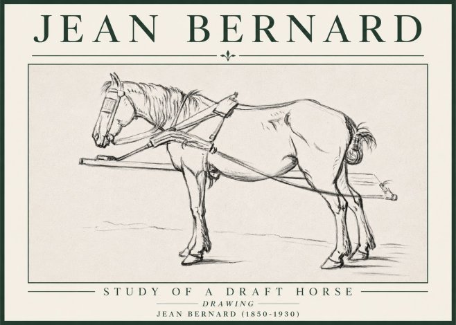 Jean Bernard Study of a Draft Horse II No4 - Affiche