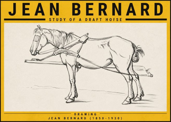 Jean Bernard Study of a Draft Horse II No5 - Affiche