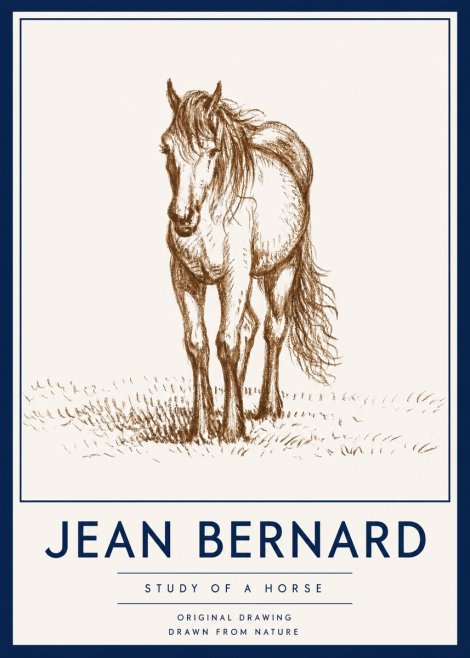 Jean Bernard Study of a Horse XV No4 - Affiche