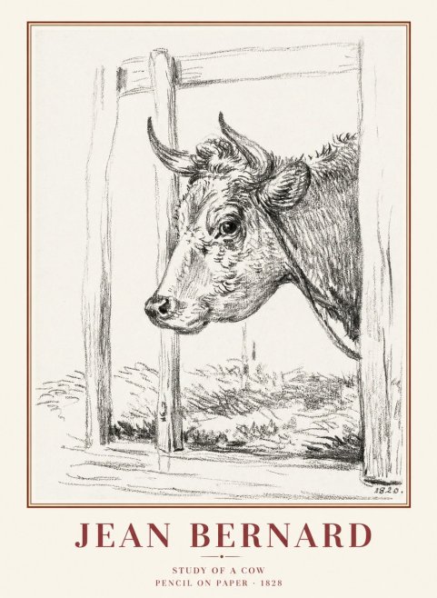 Jean Bernard Study of a Cow XVIII No1 - Affiche
