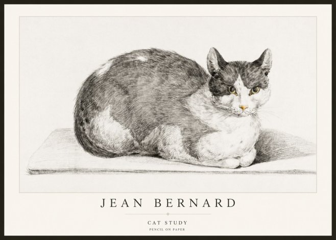 Jean Bernard Cat Study XI No2 - Affiche