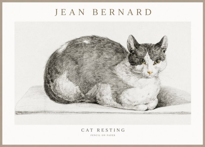Jean Bernard Cat Study XI No3 - Affiche