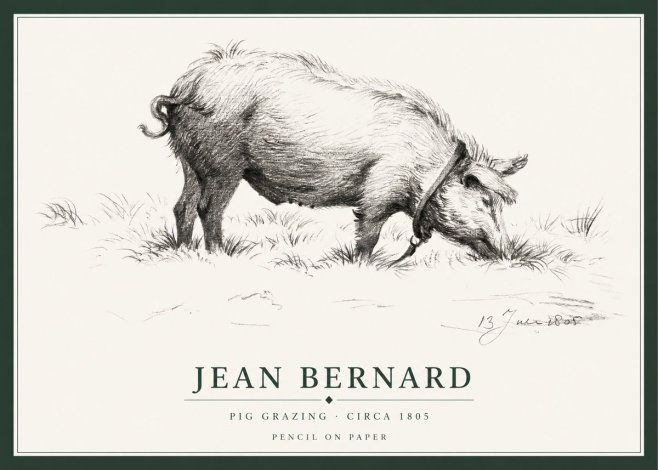 Jean Bernard Pig Grazing No1 - Affiche