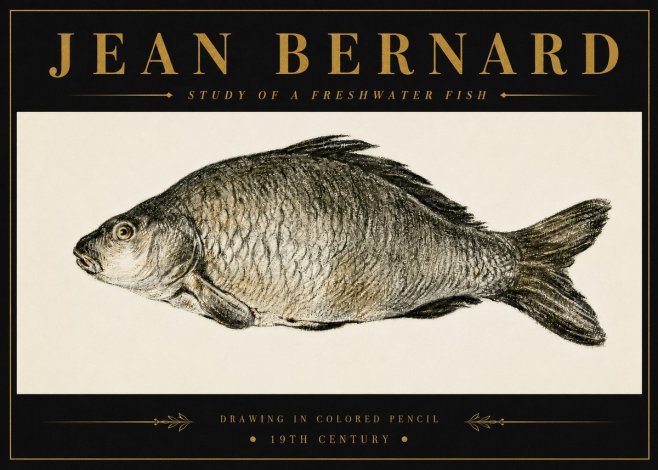 Jean Bernard Study of a Freshwater Fish No6 - Affiche
