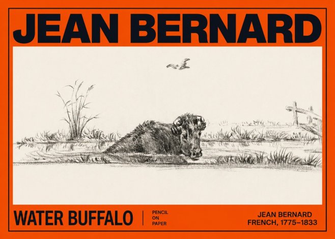 Jean Bernard Study of a Water Buffalo No3 - Affiche