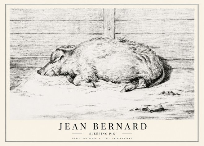 Jean Bernard Sleeping Pig I No1 - Affiche