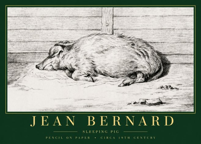Jean Bernard Sleeping Pig I No3 - Affiche