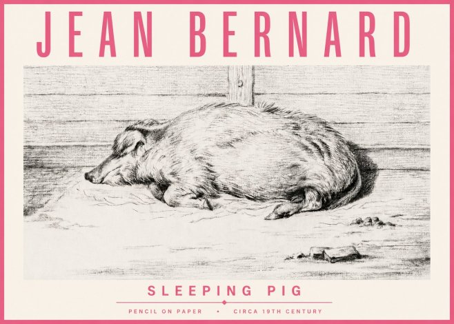 Jean Bernard Sleeping Pig I No4 - Affiche