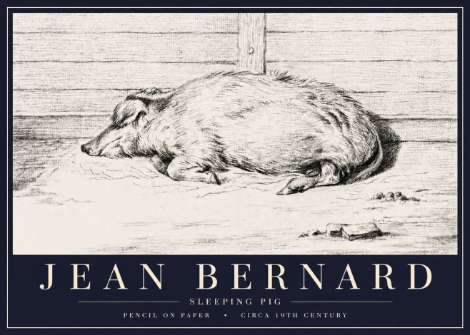 Jean Bernard Sleeping Pig I No6 - Affiche