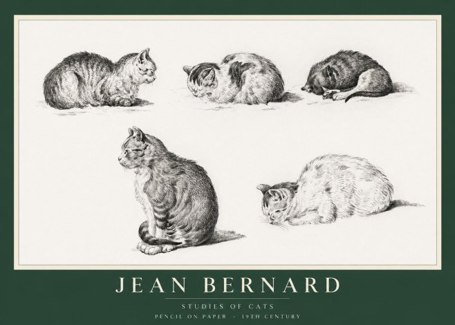 Jean Bernard Studies of Cats No1 - Affiche