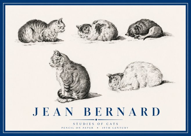 Jean Bernard Studies of Cats No3 - Affiche