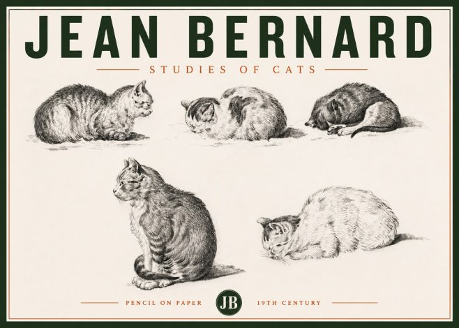 Jean Bernard Studies of Cats No4 - Affiche