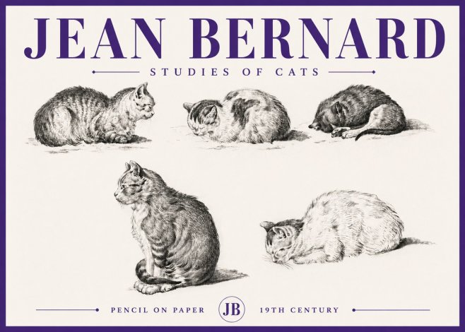 Jean Bernard Studies of Cats No5 - Affiche