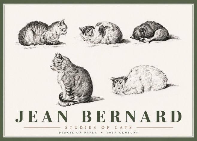 Jean Bernard Studies of Cats No6 - Affiche