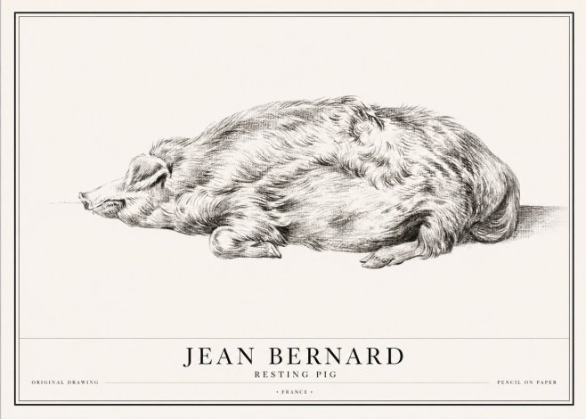 Jean Bernard Resting Pig II No1 - Affiche