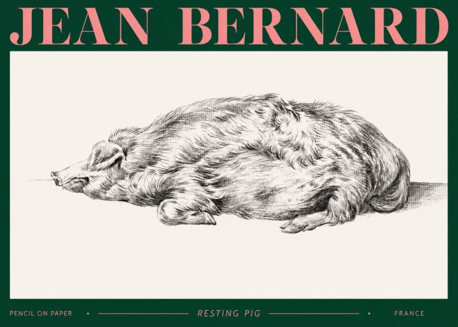 Jean Bernard Resting Pig II No2 - Affiche