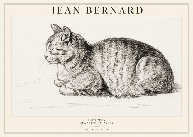 Jean Bernard Cat Study XII No1 - Affiche