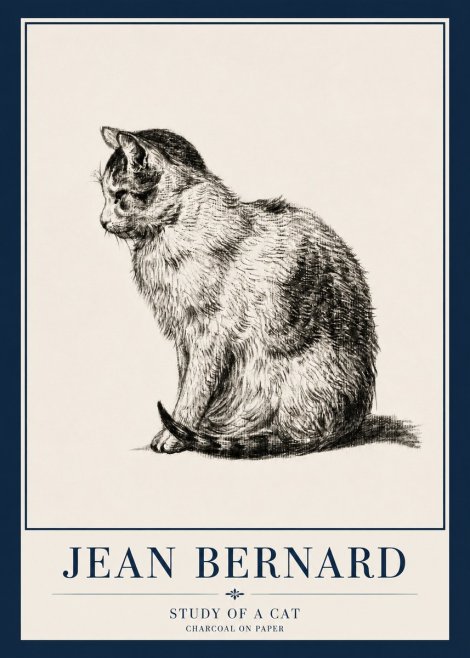 Jean Bernard Study of a Cat IV No3 - Affiche