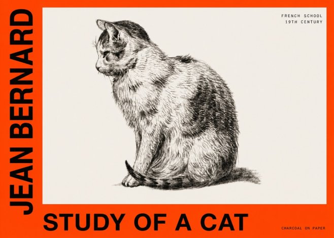 Jean Bernard Study of a Cat IV No6 - Affiche