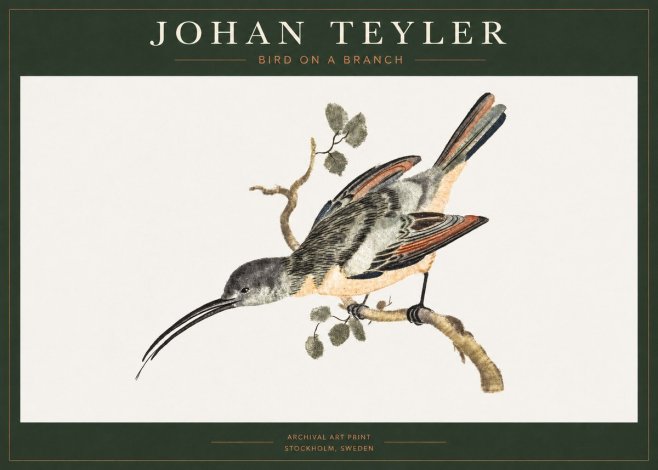 Johan Teyler Bird on a Branch No1 - Affiche