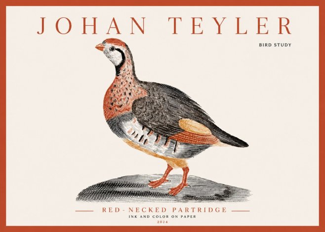 Johan Teyler Red-necked Partridge No3 - Affiche