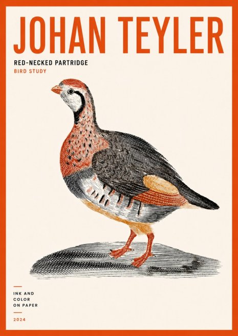 Johan Teyler Red-necked Partridge No5 - Affiche