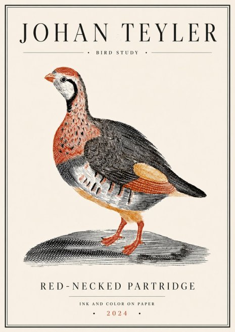 Johan Teyler Red-necked Partridge No6 - Affiche