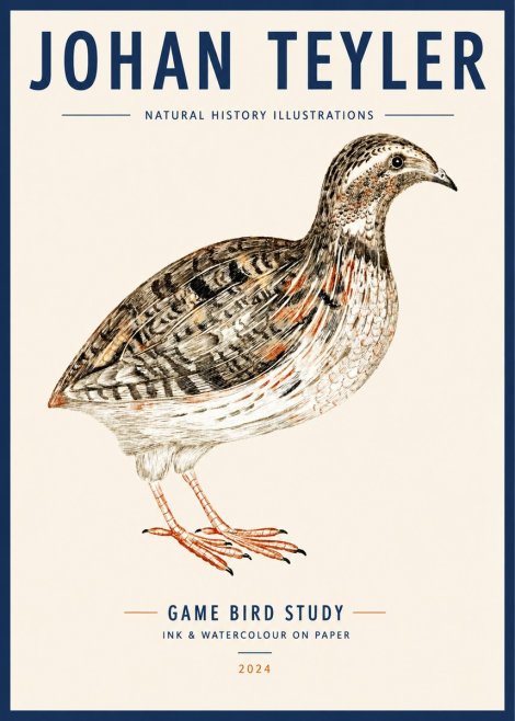 Johan Teyler Game Bird Study No3 - Affiche