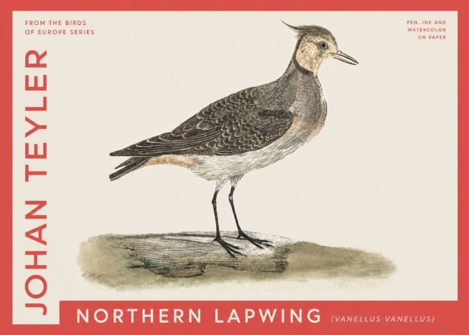 Johan Teyler Northern Lapwing (Vanellus Vanellus) No4 - Affiche