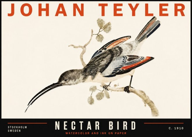 Johan Teyler Nectar Bird No6 - Affiche