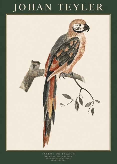 Johan Teyler Parrot on Branch No1 - Affiche