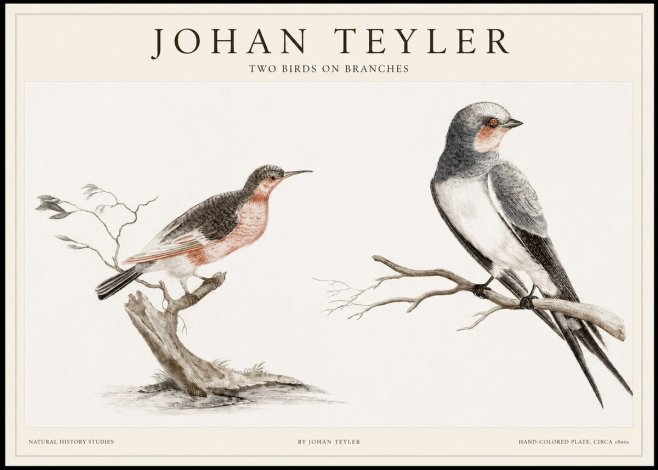 Johan Teyler Two Birds on Branches No1 - Affiche