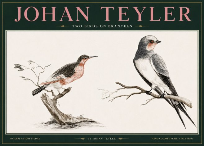Johan Teyler Two Birds on Branches No3 - Affiche