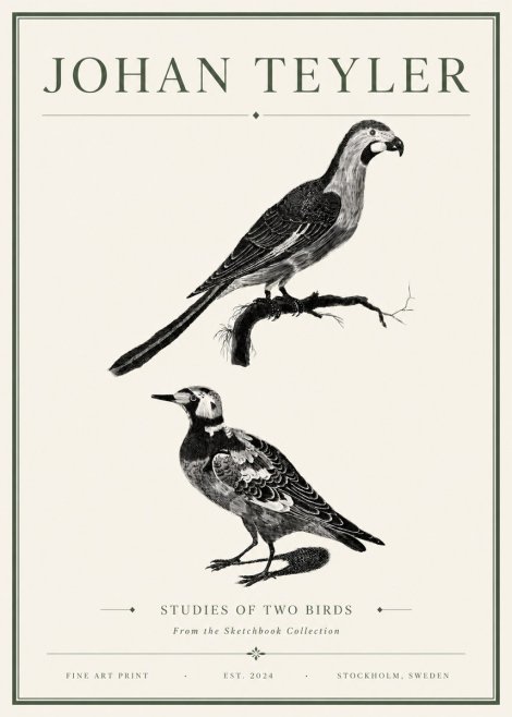 Johan Teyler Birds - Study of Two Species No6 - Affiche