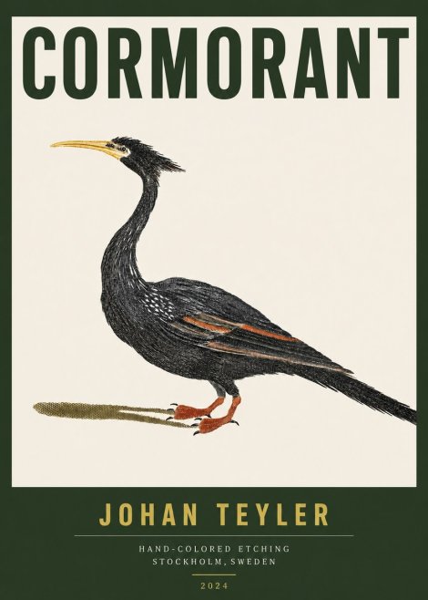 Johan Teyler Cormorant No3 - Affiche