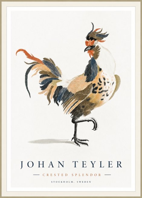 Johan Teyler Crested Splendor No1 - Affiche