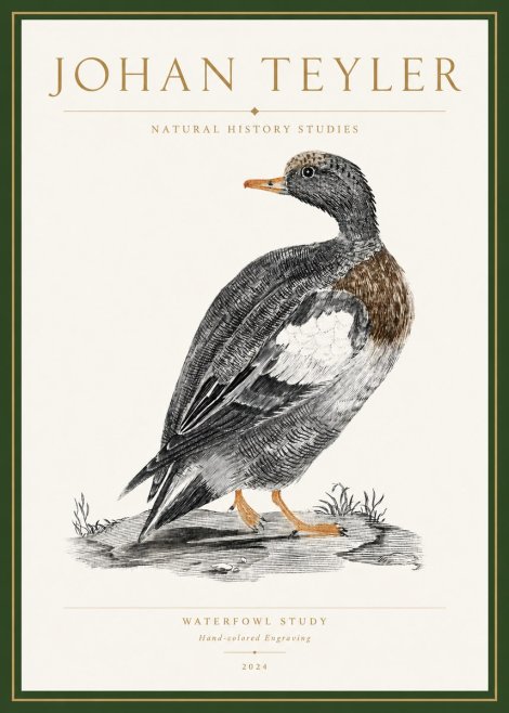 Johan Teyler Waterfowl Study No3 - Affiche
