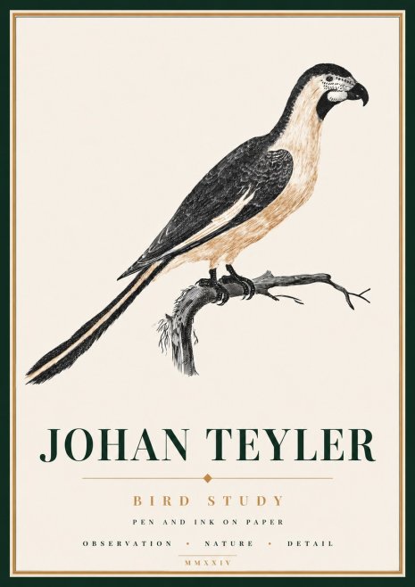 Johan Teyler Bird Study I No6 - Affiche