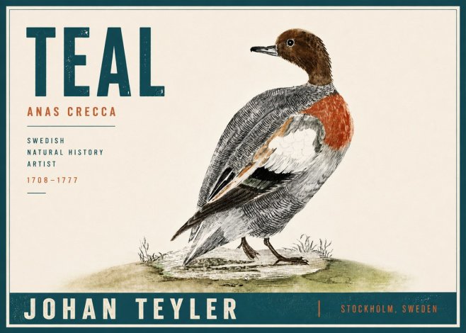 Johan Teyler Teal No5 - Affiche