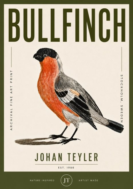 Johan Teyler Bullfinch No5 - Affiche
