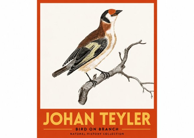 Johan Teyler Song of the Finch No3 - Affiche