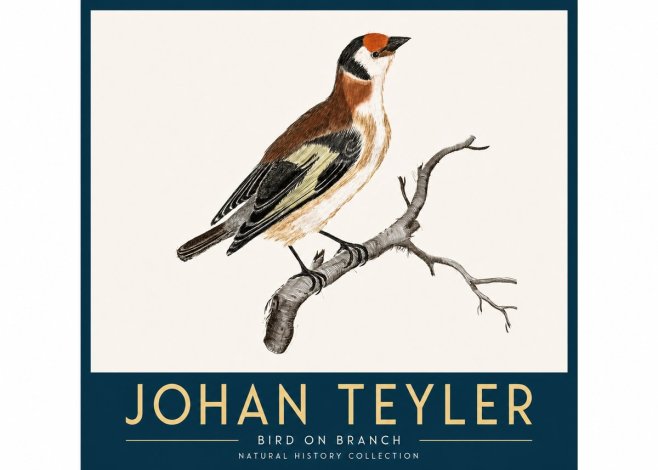 Johan Teyler Song of the Finch No4 - Affiche