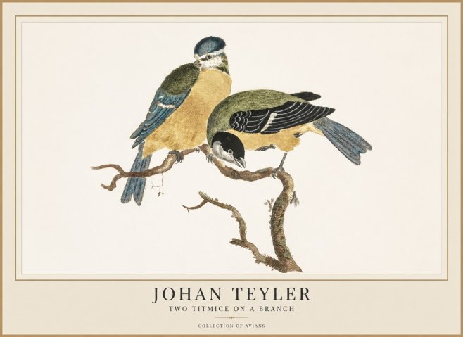 Johan Teyler Two Titmice on a Branch No1 - Affiche